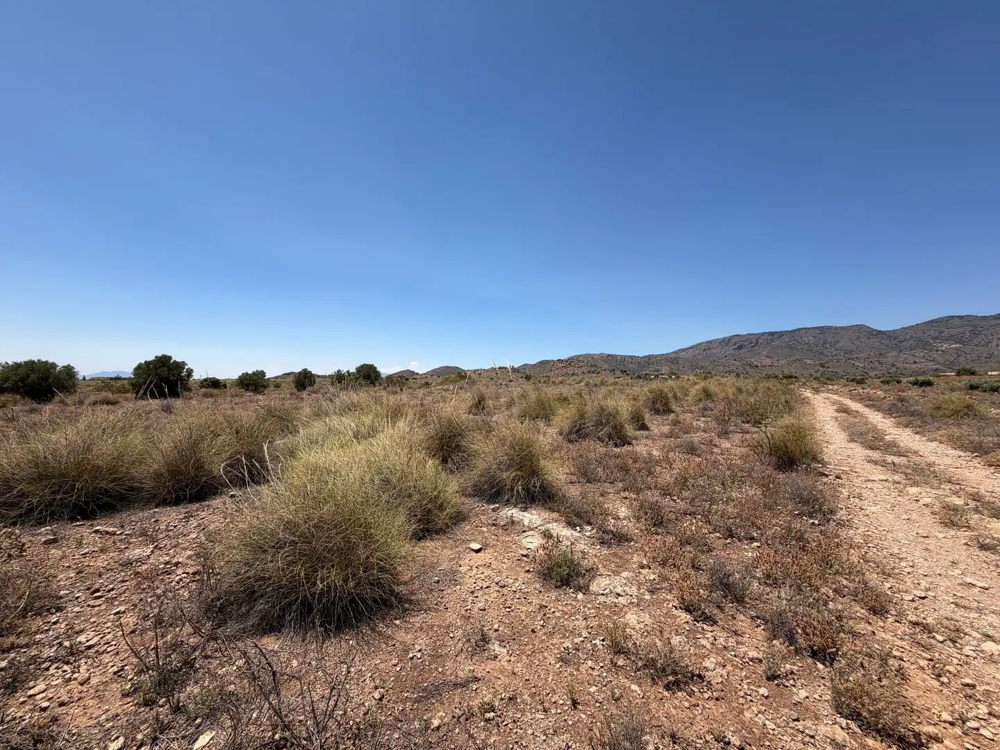 Terreno en venta en Alhama de Murcia