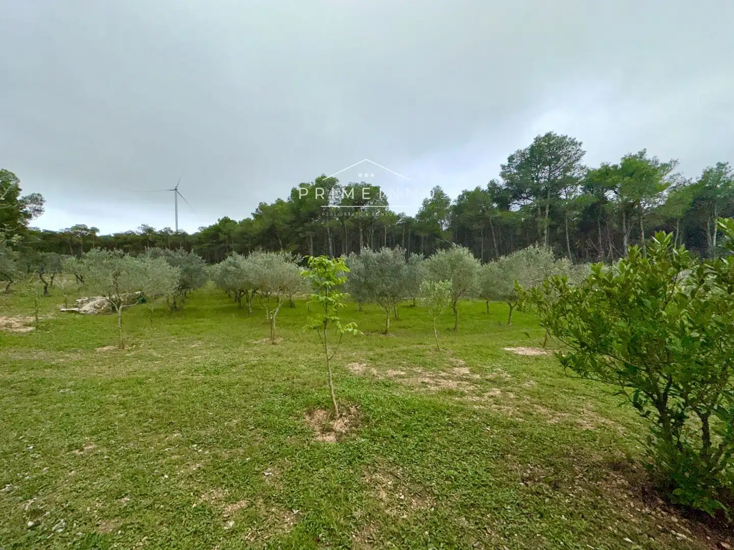Casa rústica con piscina en venta en El Perelló, imagen 15