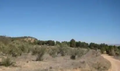 Rustikales Grundstück zum Verkauf in Requena, imagen 3