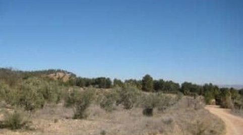 FINCA PARA RECREO Y VIVIENDA RURAL, immagine 3