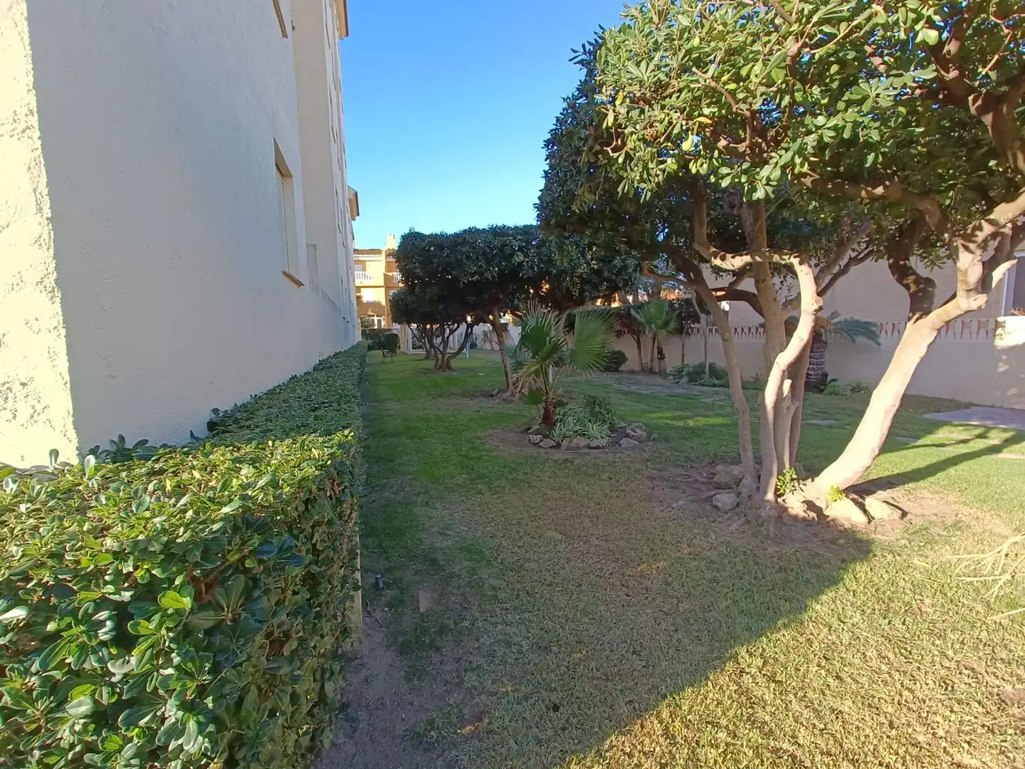 Jardín de Piso de alquiler en Sueca con Amueblado y Piscina comunitaria