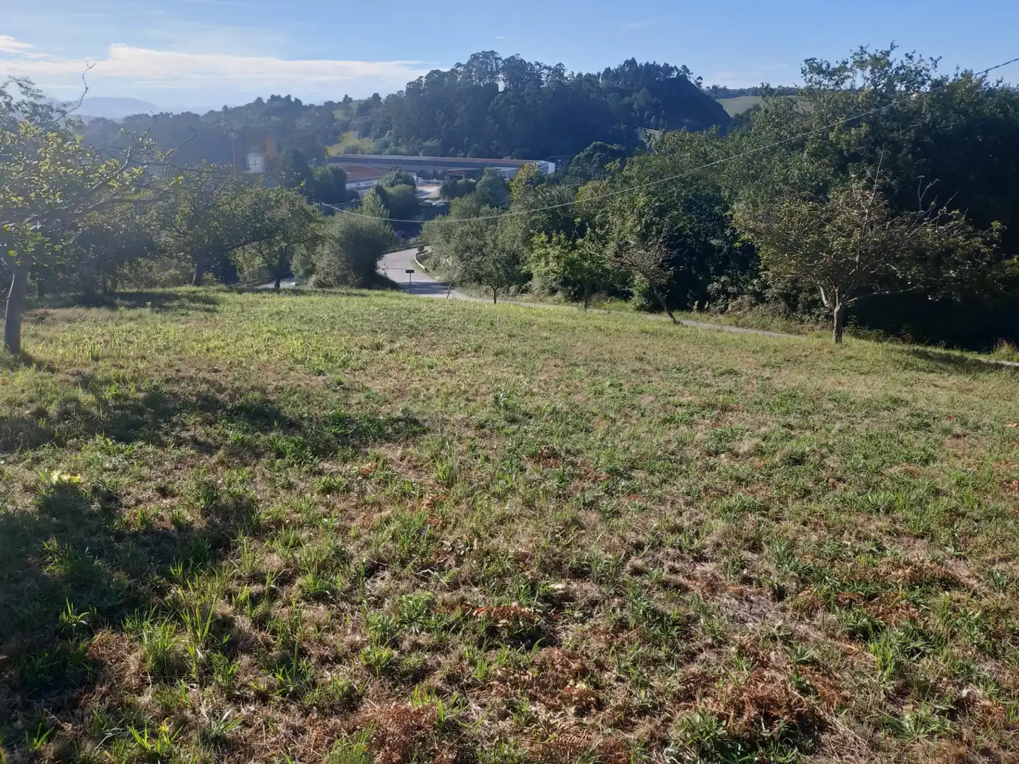Terrain rustique à vendre à Barrio Cenero Urbano 10A, imagen 5