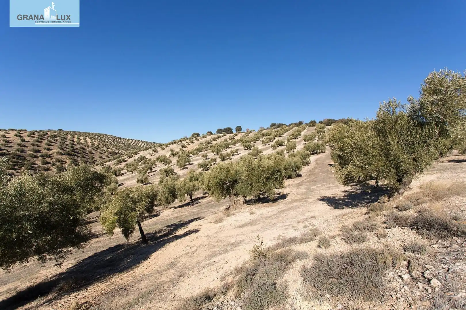 Land for sale in Campotéjar