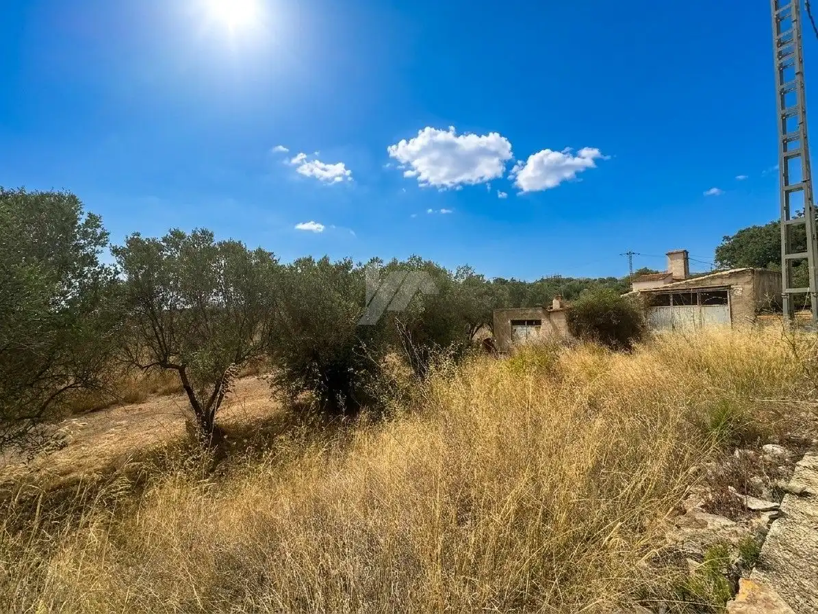 Lands and plots for sale in Teulada, imagen 8
