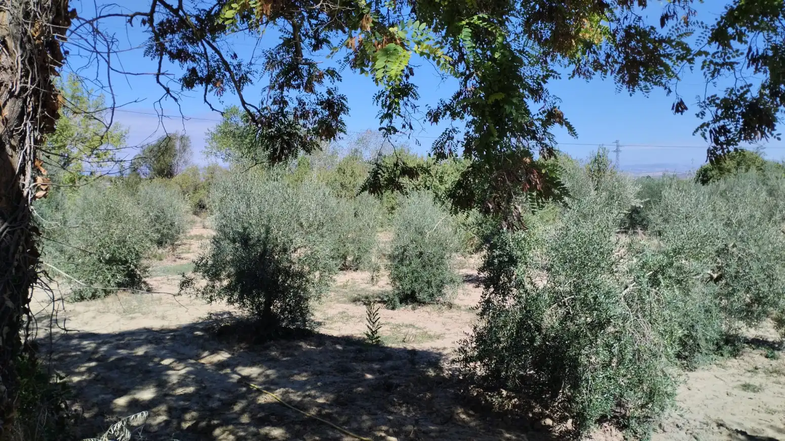 Terreno en venta en El Redal, La Rioja