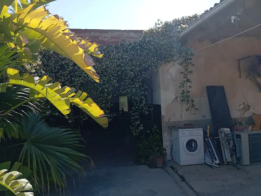 Vista exterior de Finca rústica en venta en Elche / Elx con Trastero