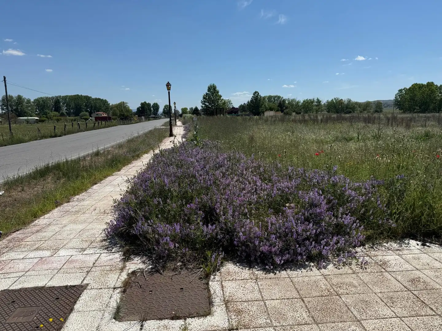 Residencial en venta en El Fresno
