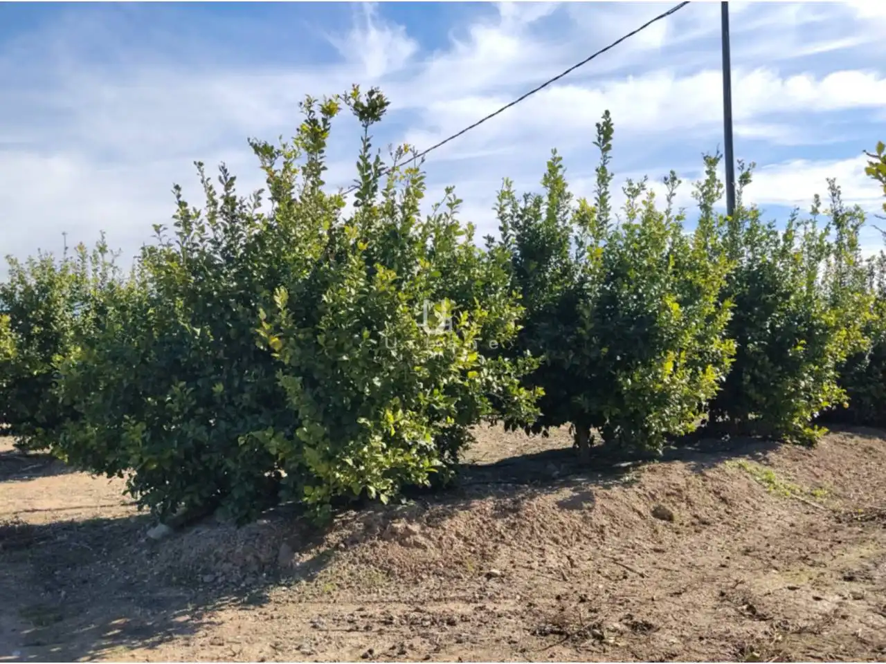 Terreny rústic en venda a Camino Huerta de Abajo, imagen 7