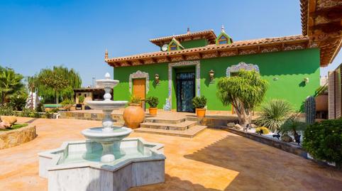 Foto 3 de Finca rústica en venta en Almoradí, Alicante