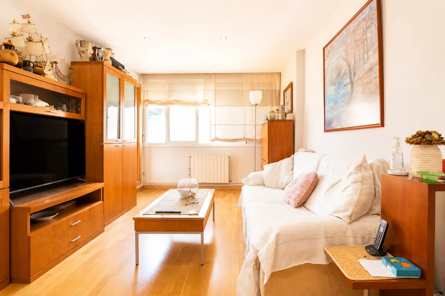 Sala de estar de Ático en venta en Santa Coloma de Gramenet con Aire acondicionado, Calefacción y Terraza