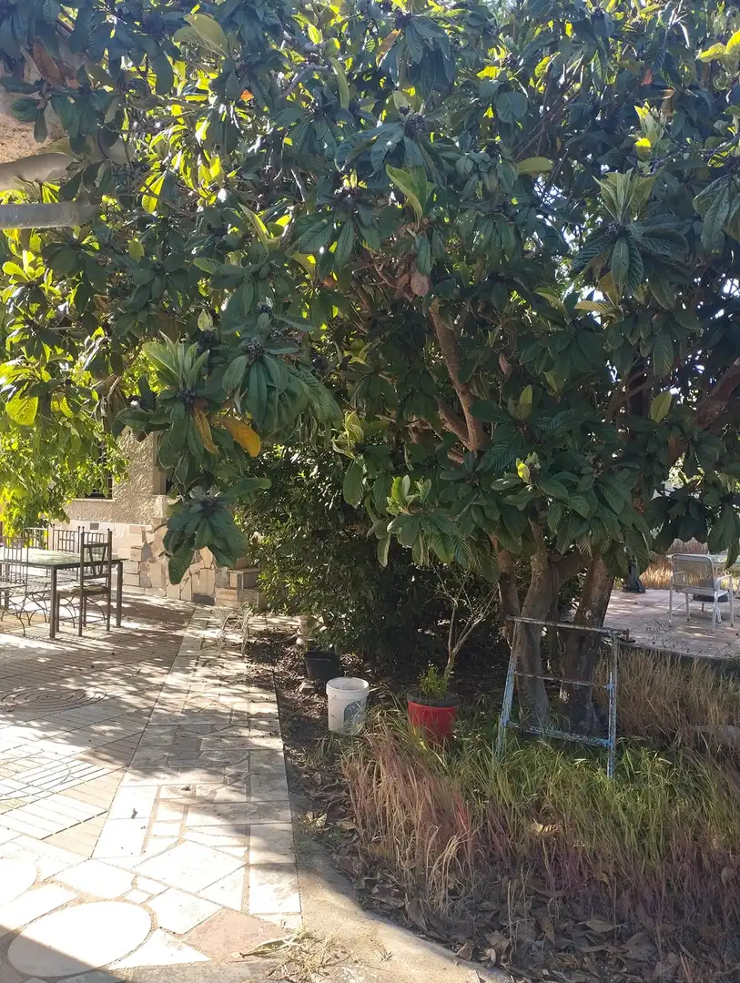 House for sale in Paseo de la estación, imagen 13
