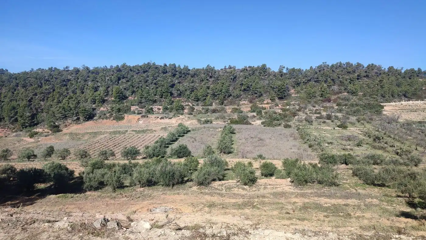 Rural land for sale in Carrer de les Pinyeres 24, imagen 2