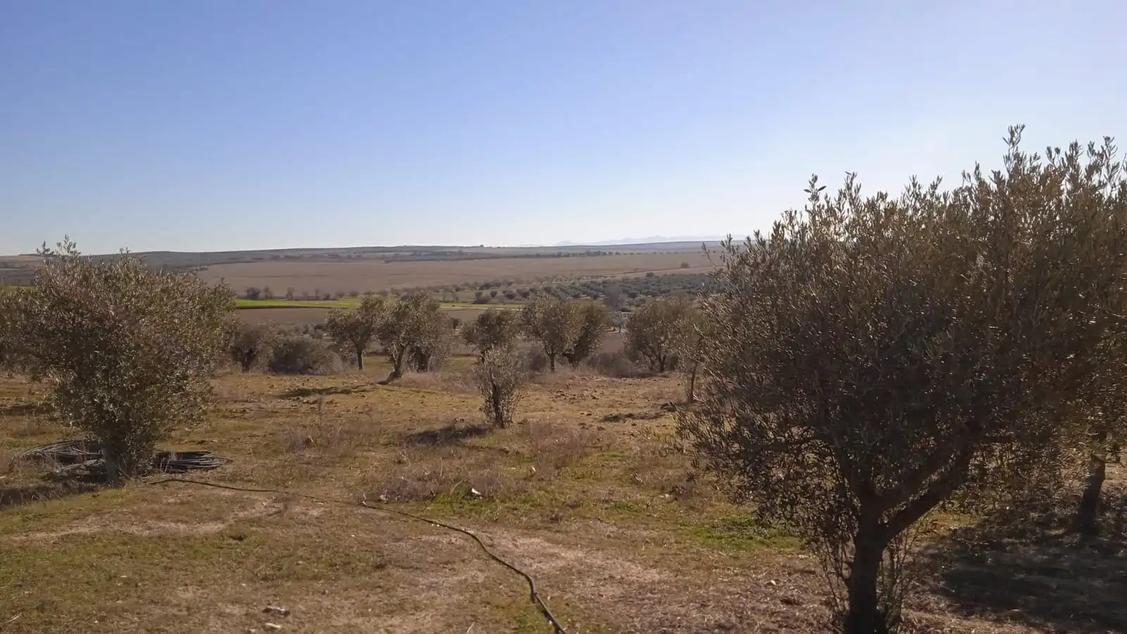 Terreno en venta en Illán de Vacas