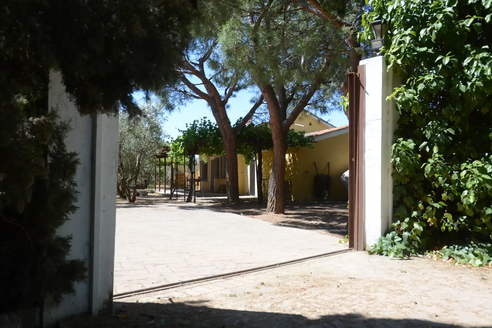 Country house with pool for sale in Fuente El Saz de Jarama, imagen 3