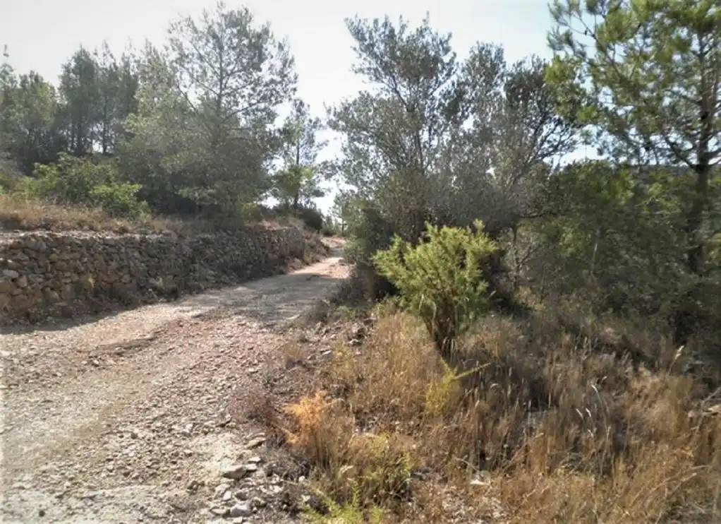 Rustikales Grundstück zum Verkauf in ZONA DISSEMINAT DEL COLL DE LALBA, imagen 14