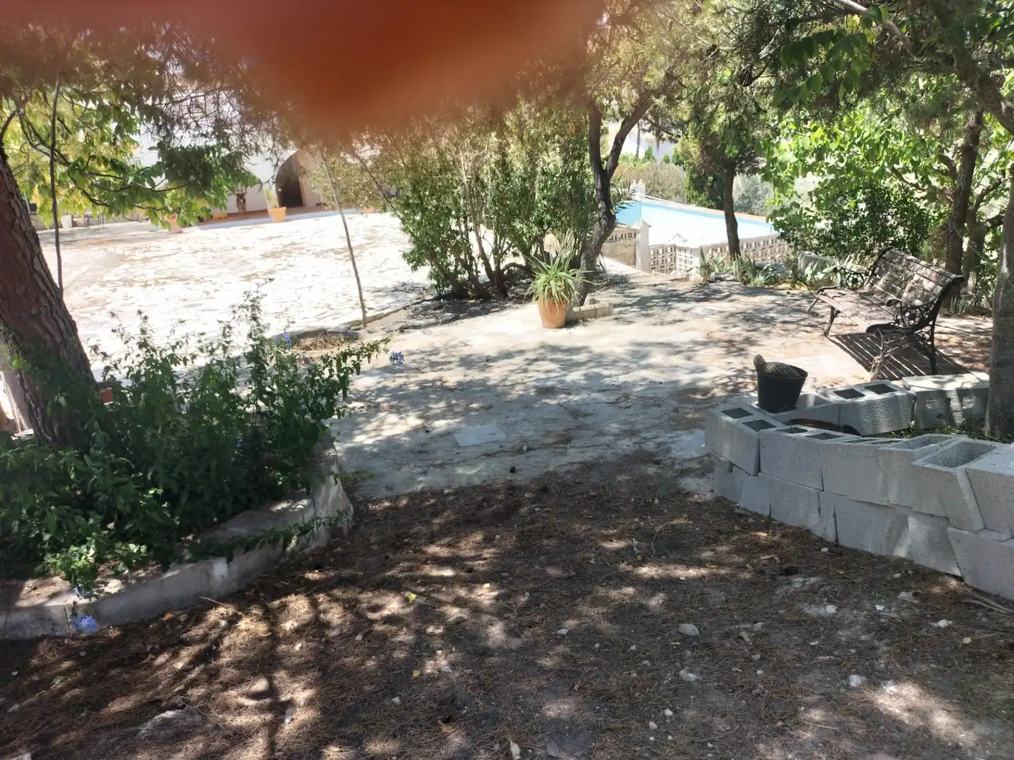 Jardín de Casa o chalet en venta en Sax con Jardín privado, Terraza y Trastero