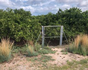 Land for sale in Oliva