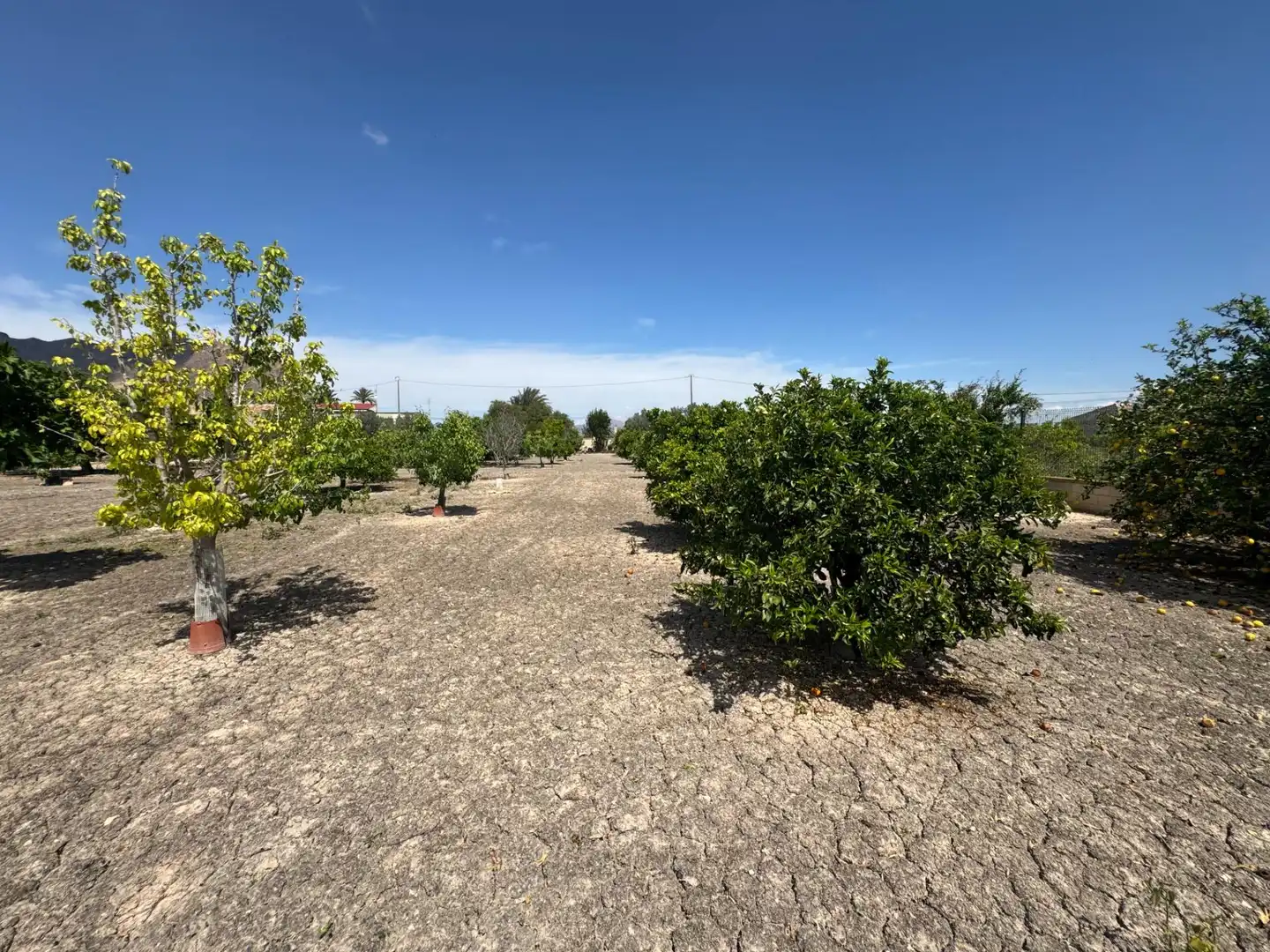 Casa en venta en Callosa de Segura, imagen 16