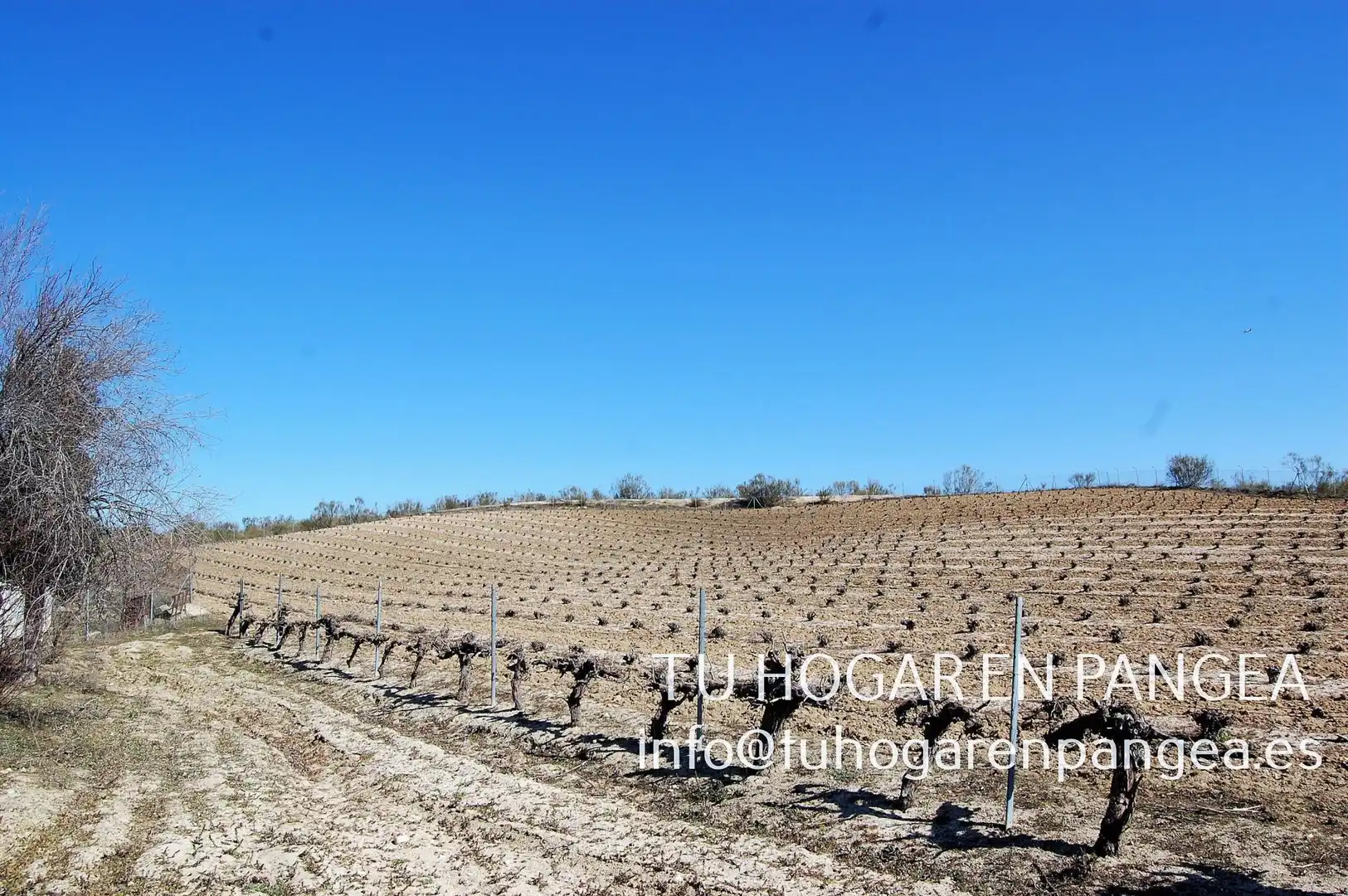 Rural land for sale in El Álamo, imagen 16