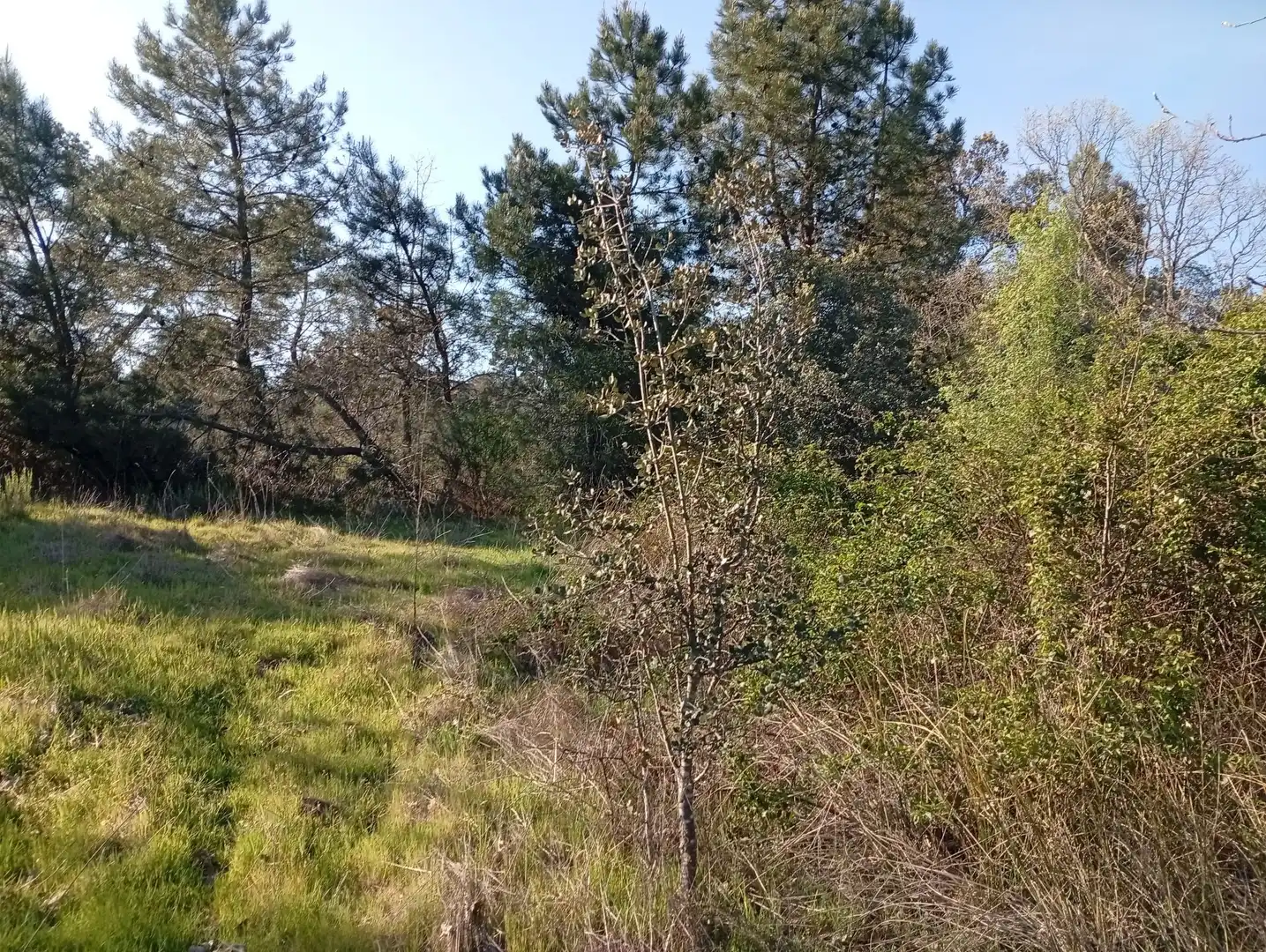 Terreni e lotti in vendita a Villanueva de la Vera, imagen 53