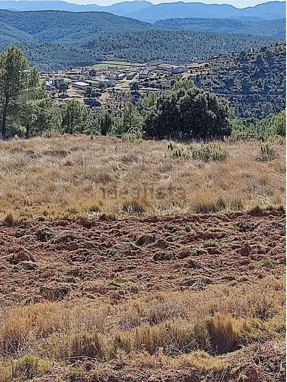 Finca rústica en venta en Zucaina