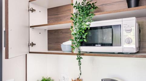 Photo 5 of Flat to share in Sector Sur  - La Palmera - Reina Mercedes,  Sevilla Capital