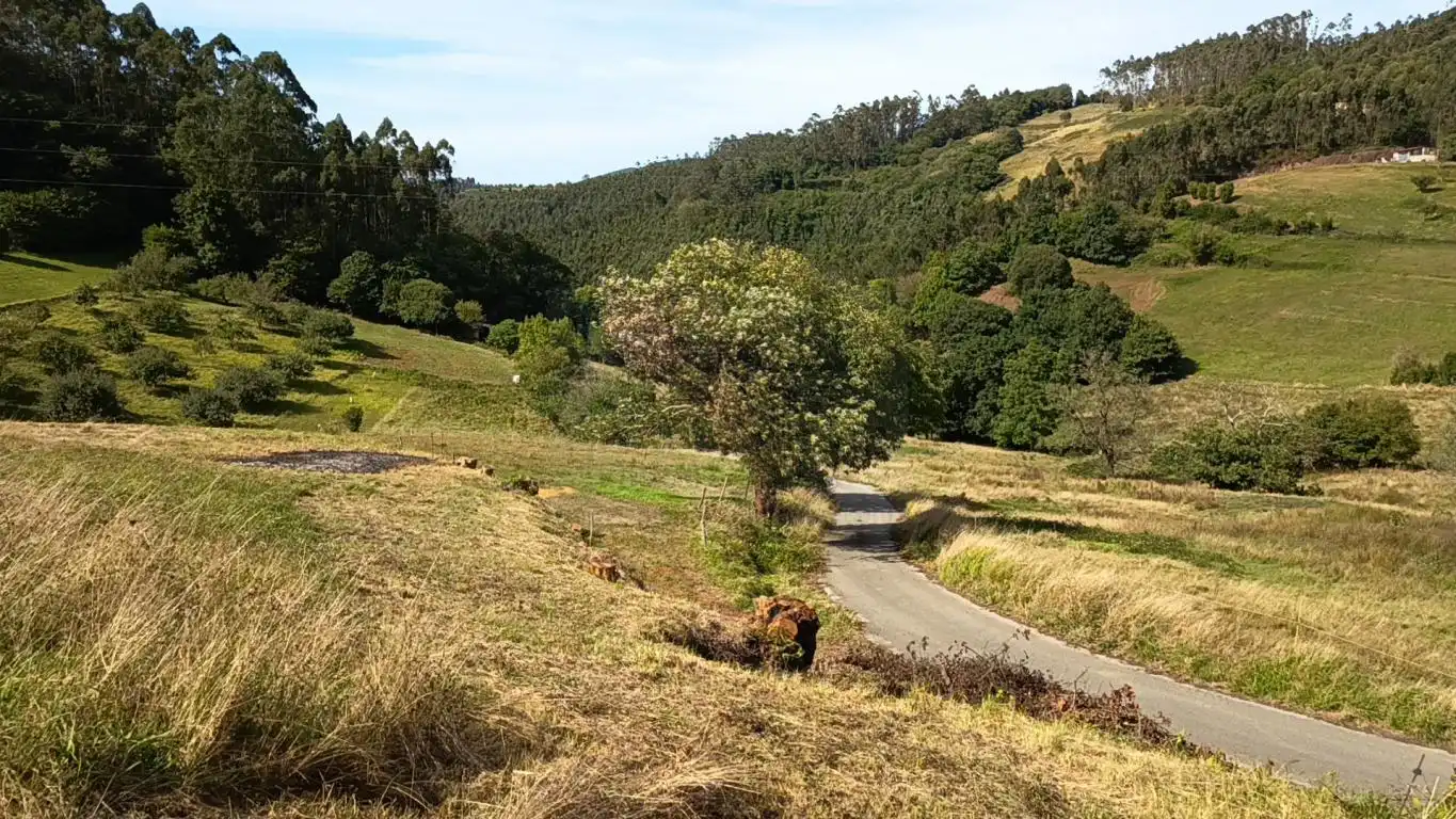 Grundstücke und Bauplätze zum Verkauf in Aldea Argañosa