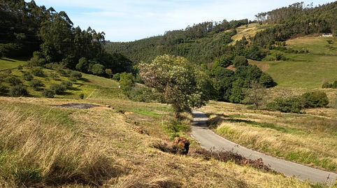 La Argañosa (Candamo) Asturias, finca edificable para dos casas, 25.000 €
