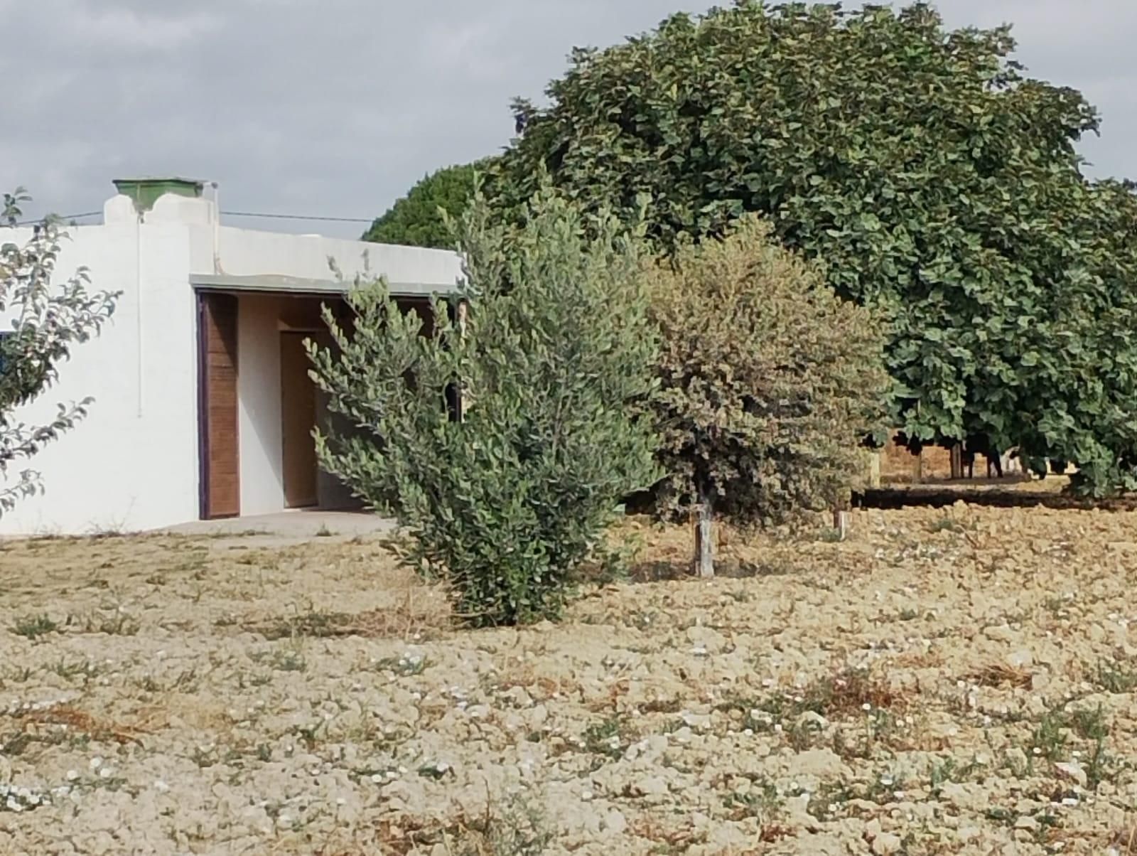 Exterior view of House or chalet for sale in Chiclana de la Frontera