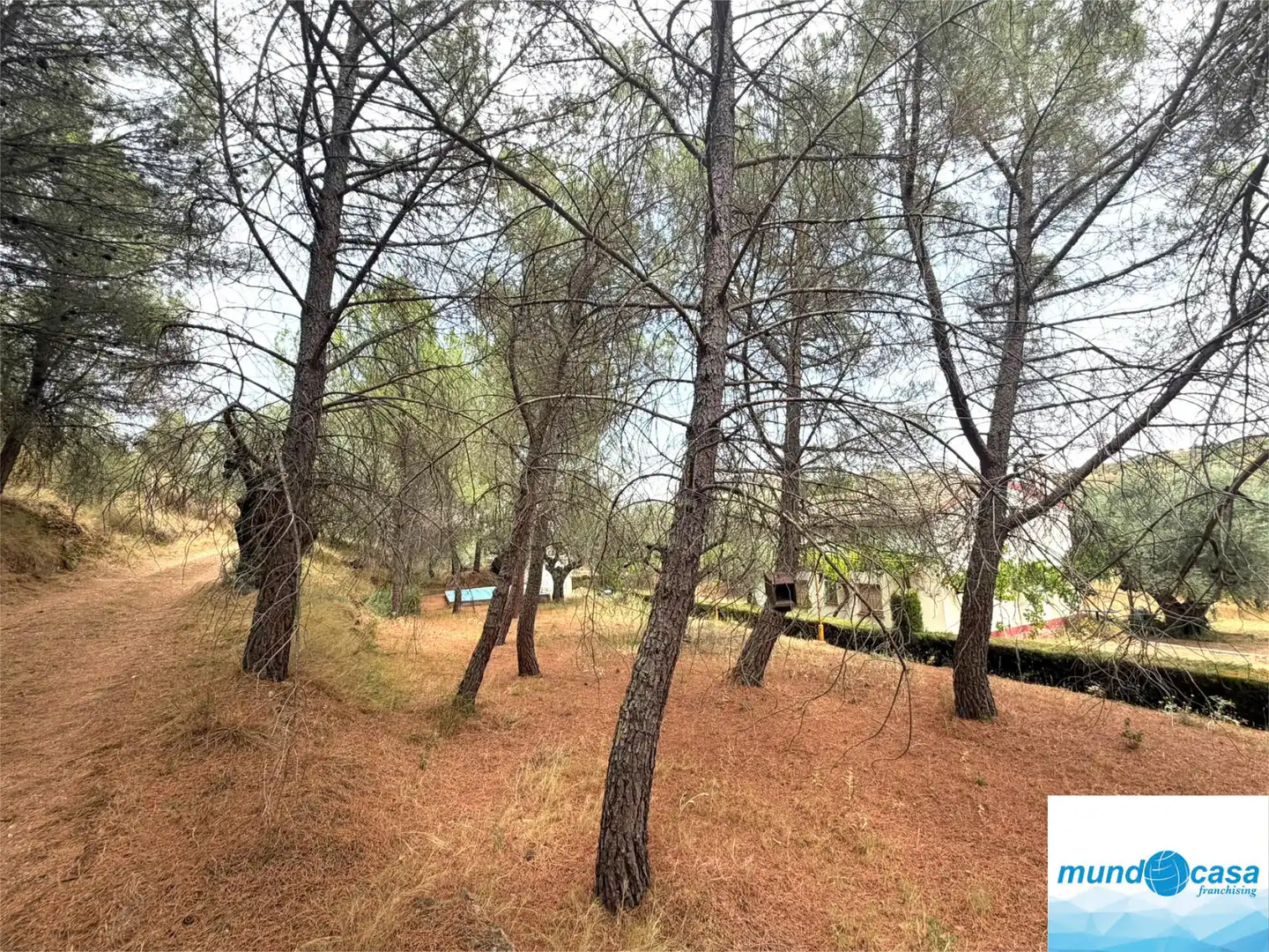Finca rústica en venda en Morata de Jalón amb Piscina comunitària
