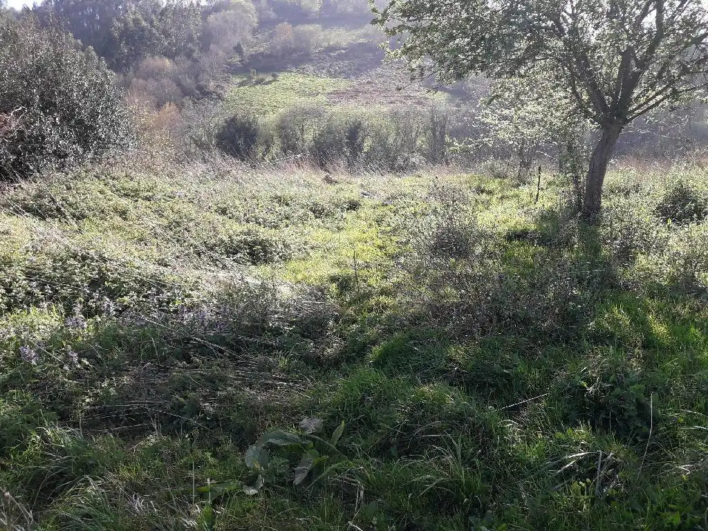 Terreno rustico in vendita a Parroquias surorientales, imagen 2
