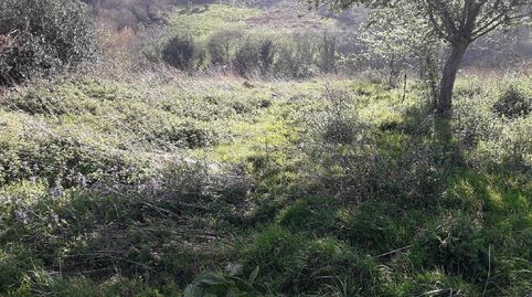 Foto 2 von Grundstücke zum Verkauf in Parroquias surorientales, Villaviciosa