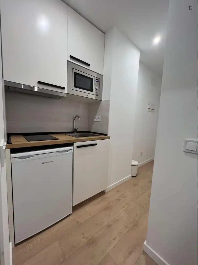 Studio mit Aufzug zur Miete in Centro, imagen 4