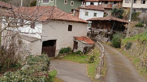 Foto 4 de Finca rústica en venda a Aldea Cofiño, 53c, Parres, Asturias