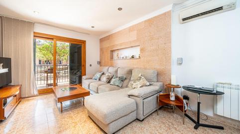 Foto 2 de Dúplex en venda a Santa María del Camí, Illes Balears