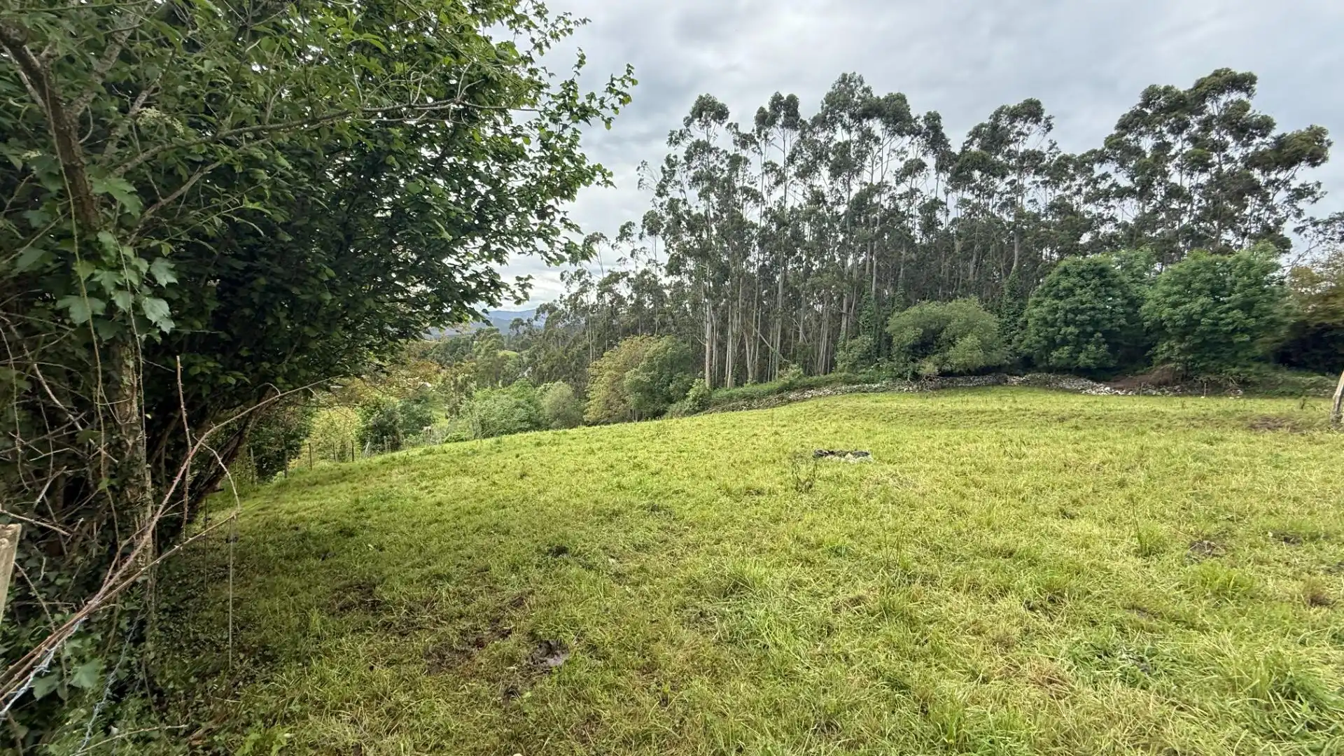 Terreno en venta en Valdáliga