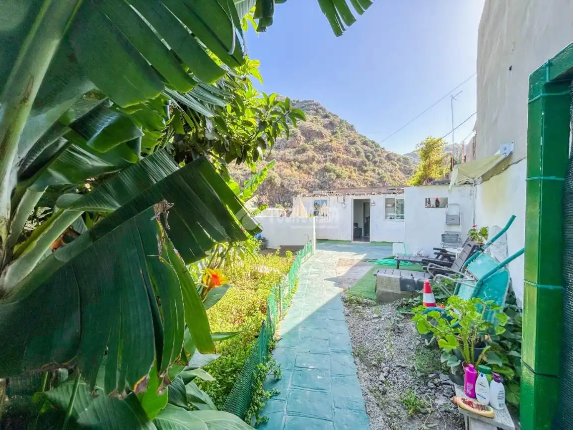 Vista exterior de Finca rústica en venta en Telde con Jardín privado y Terraza