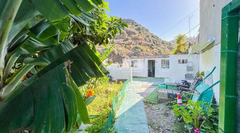 Foto 2 de Finca rústica en venta en Caserones - La Higuera, Telde