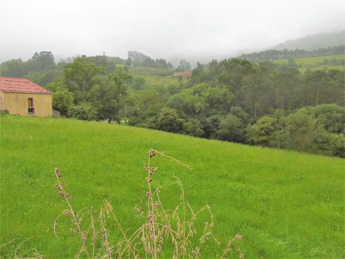 Terreno residencial en venta en Solórzano, imagen 2