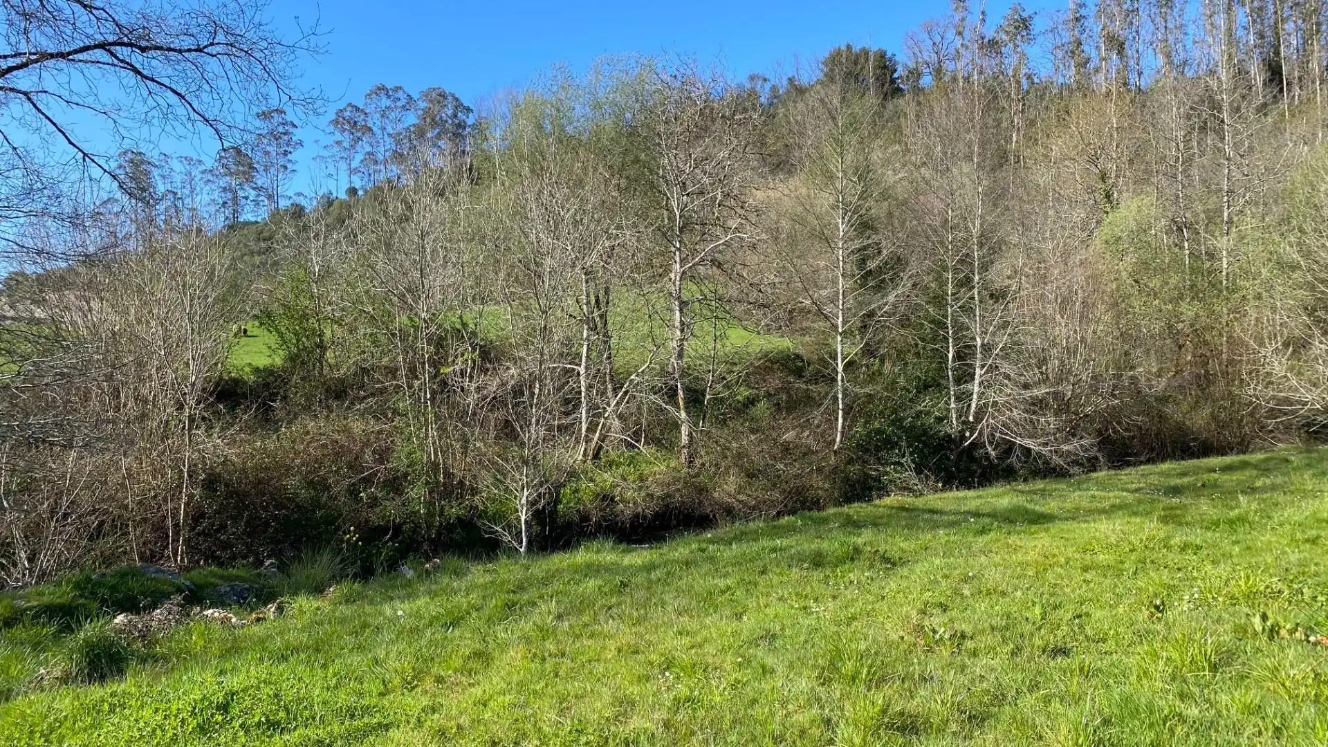 Terreni e lotti in vendita a Valdáliga, imagen 15
