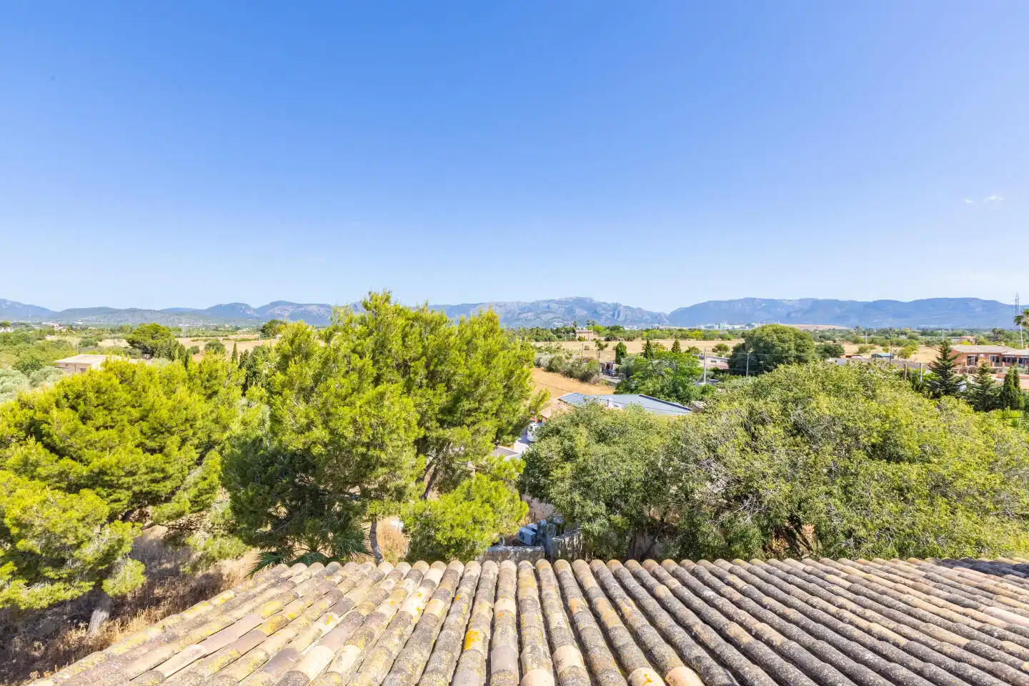 Vista exterior de Finca rústica en venda en  Palma de Mallorca