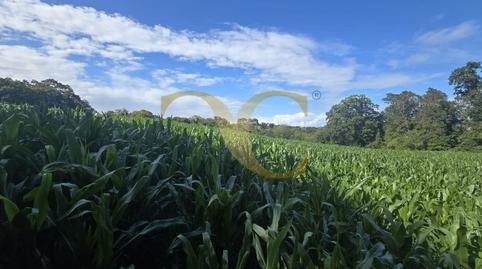 Photo 5 of Residential for sale in Cardoso, Pría - Nueva-Hontoria - Naves, Asturias