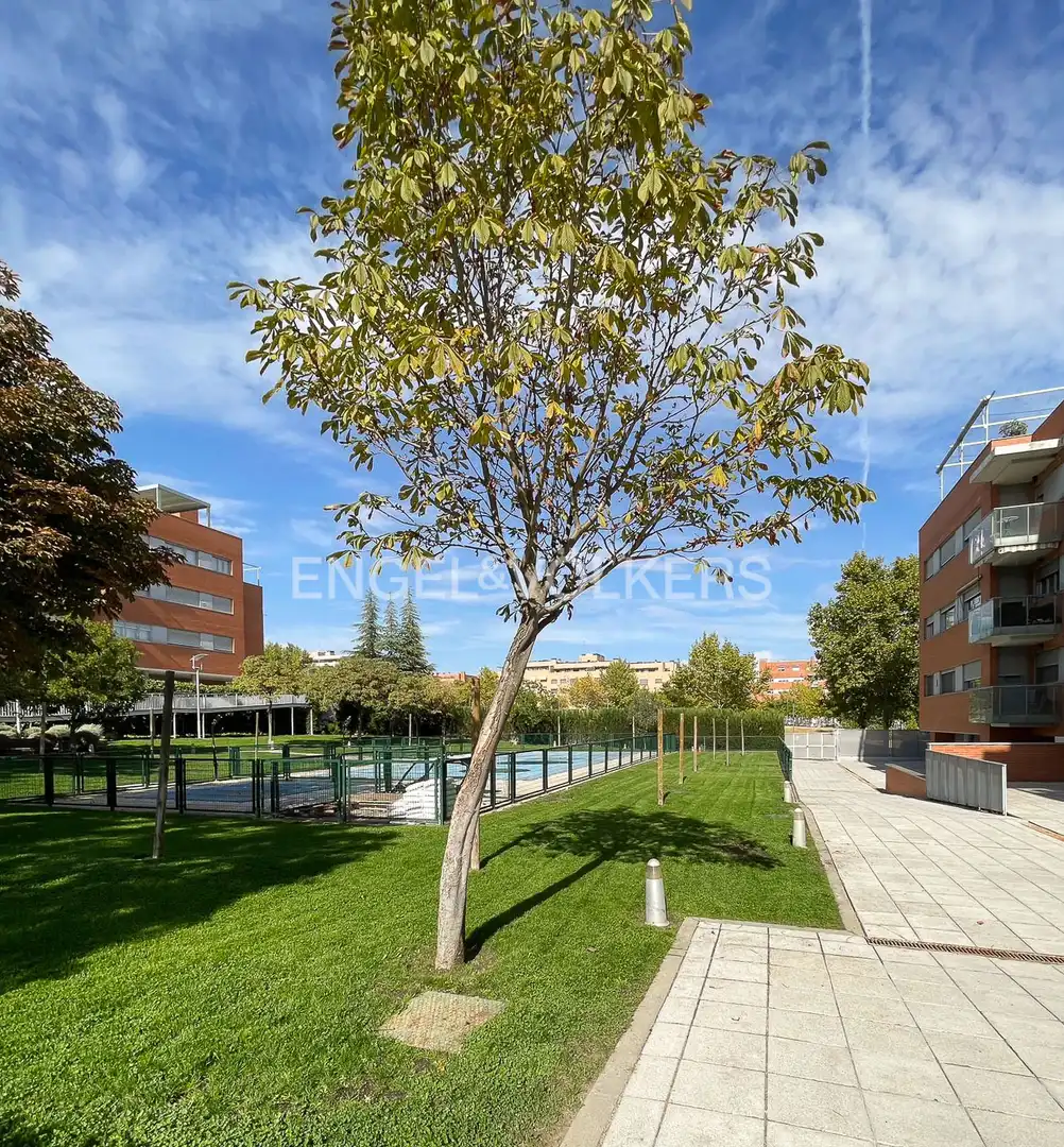 Vista exterior de Apartament en venda en Paracuellos de Jarama amb Calefacció, Terrassa i Traster