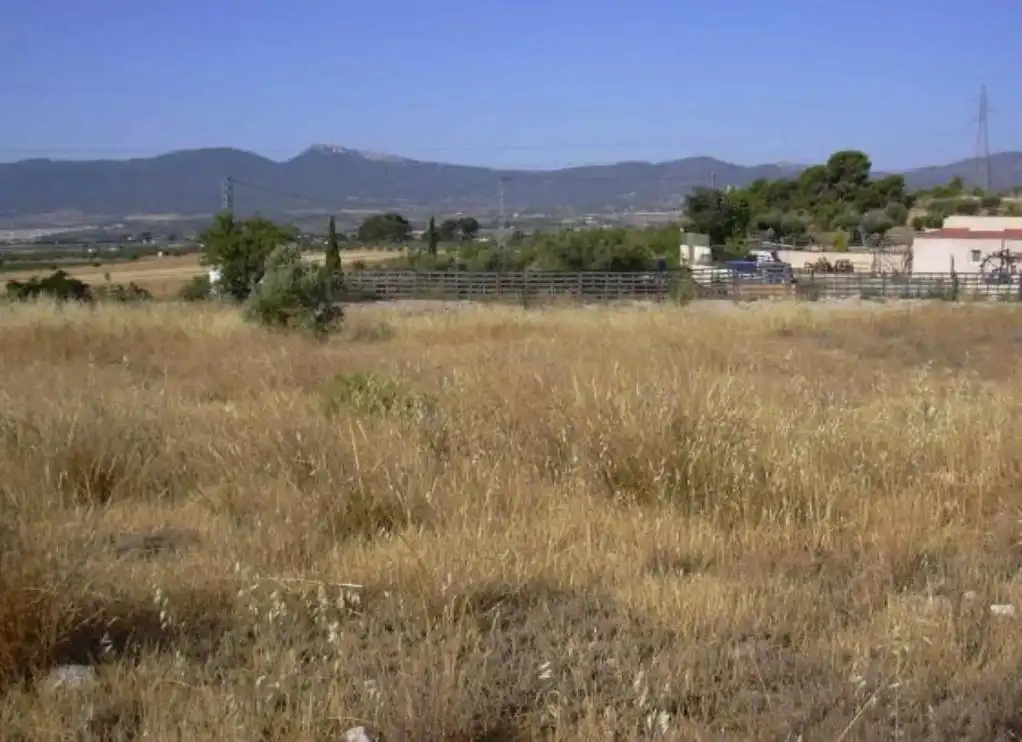 Terreno rústico en venta en PINOSES, imagen 4