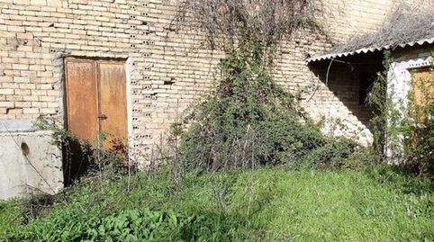 Naves y parcela en huerta de Moratalla