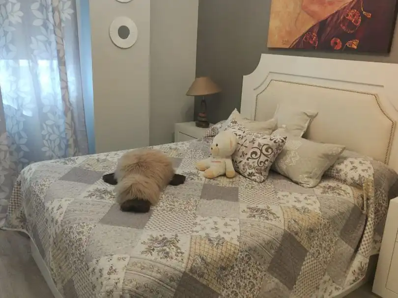 Habitación de Piso en venta en Aranda de Duero con Terraza