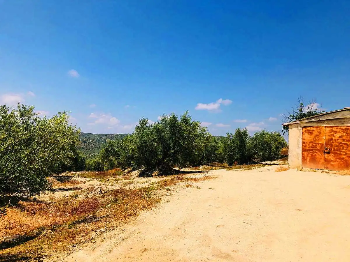 Terreny rústic en venda a Paraje la Ventana y Casa Tejada, imagen 5