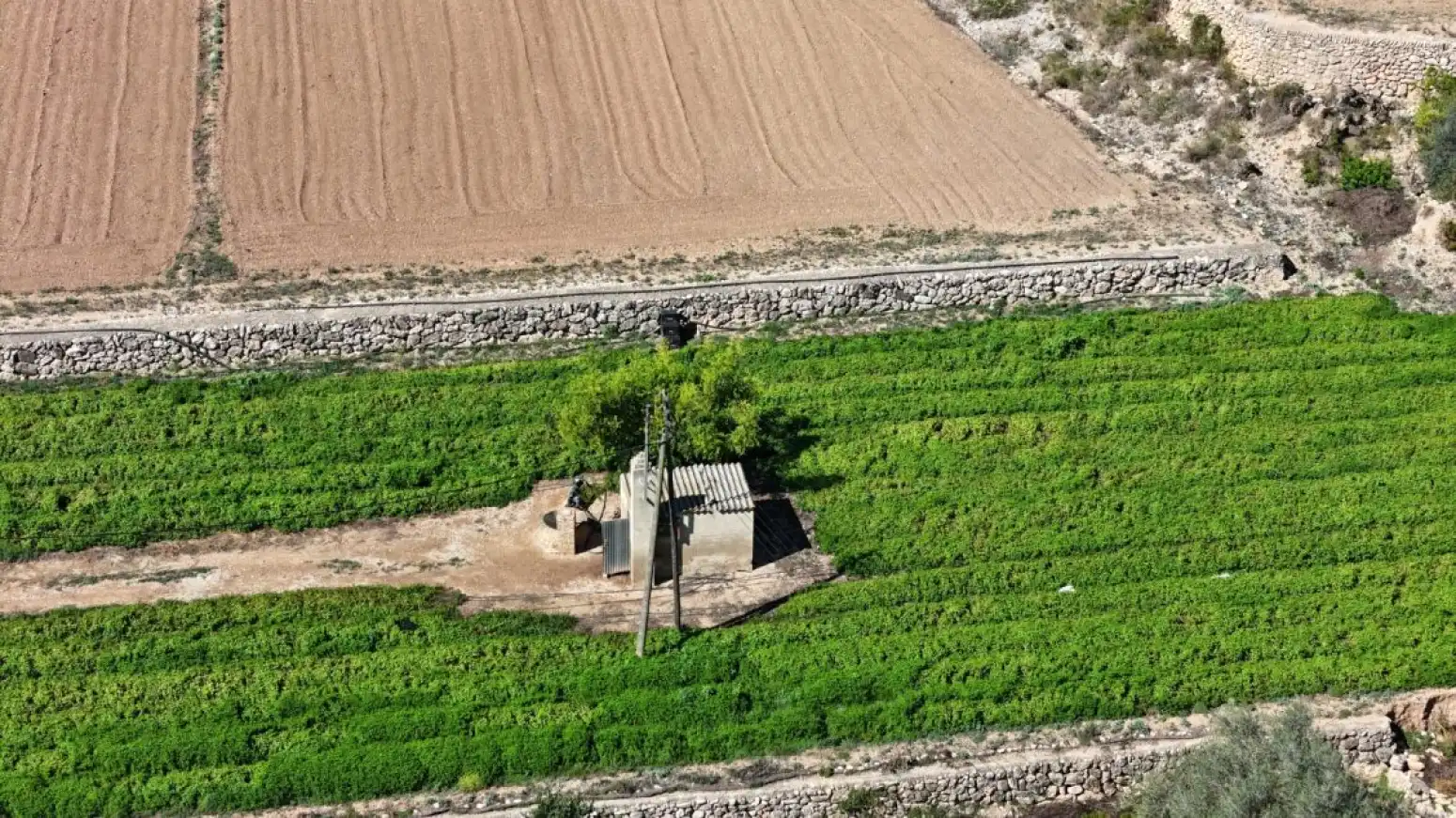 Terreno rustico in vendita a Benifallet - carretera C12, imagen 21