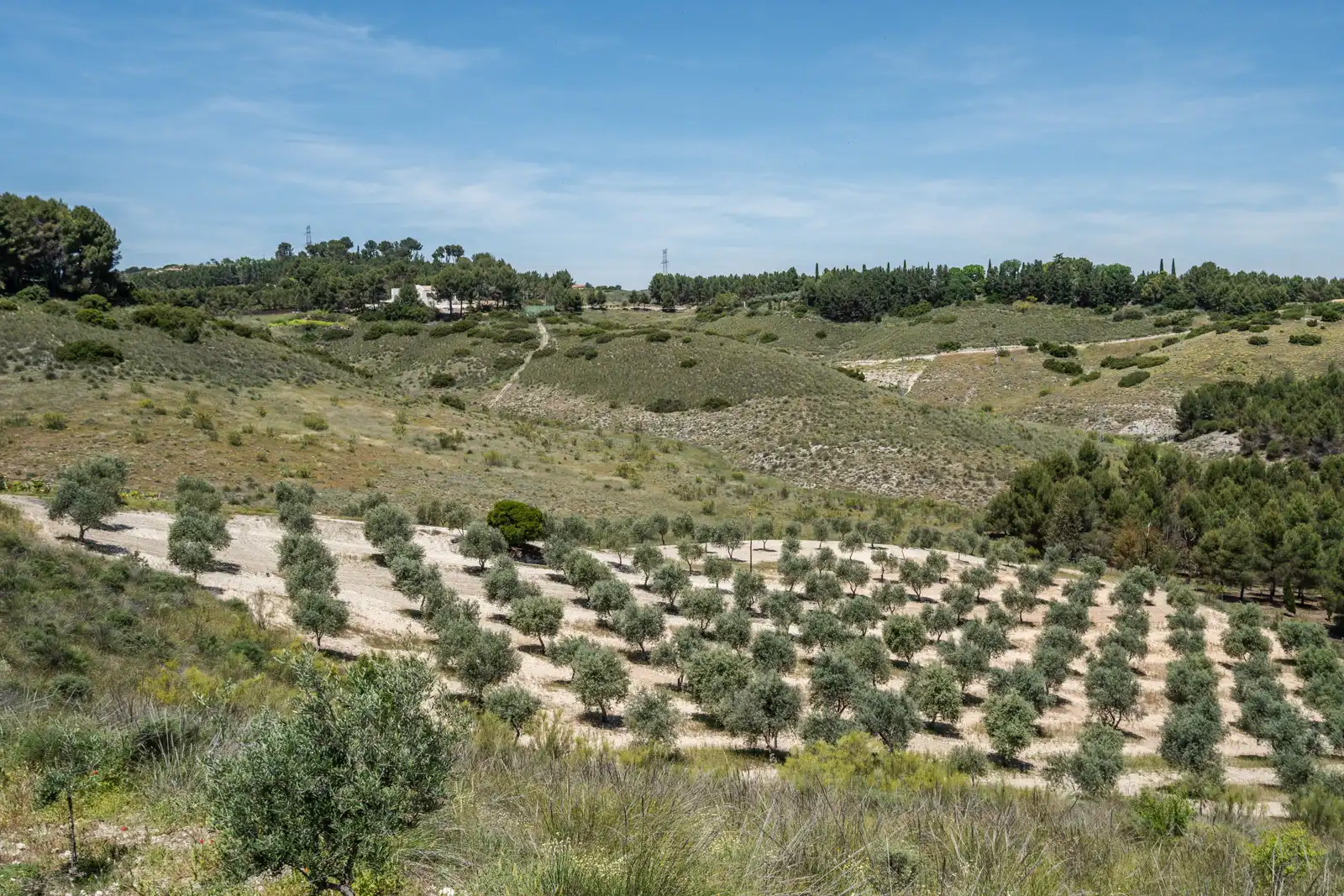 Casa rústica amb jardí en venda a Calle del Serranillo, imagen 75