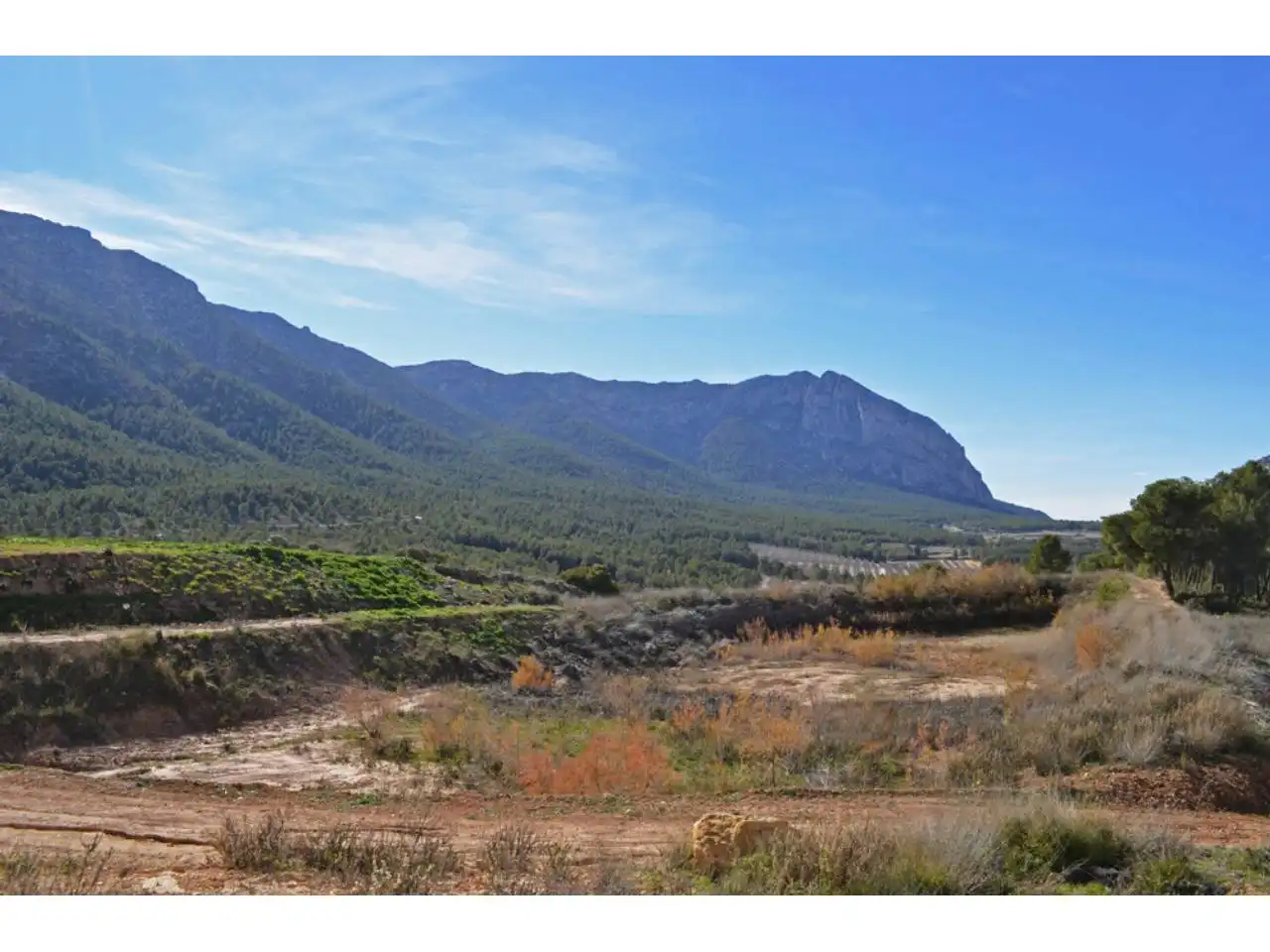 Lands and plots for sale in Pasaje Rincones y Sierra Espuña, imagen 8